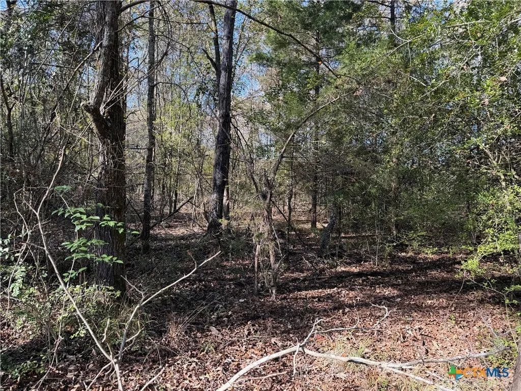 Vacant Land in Fairfield - Fairfield, Texas, 75855