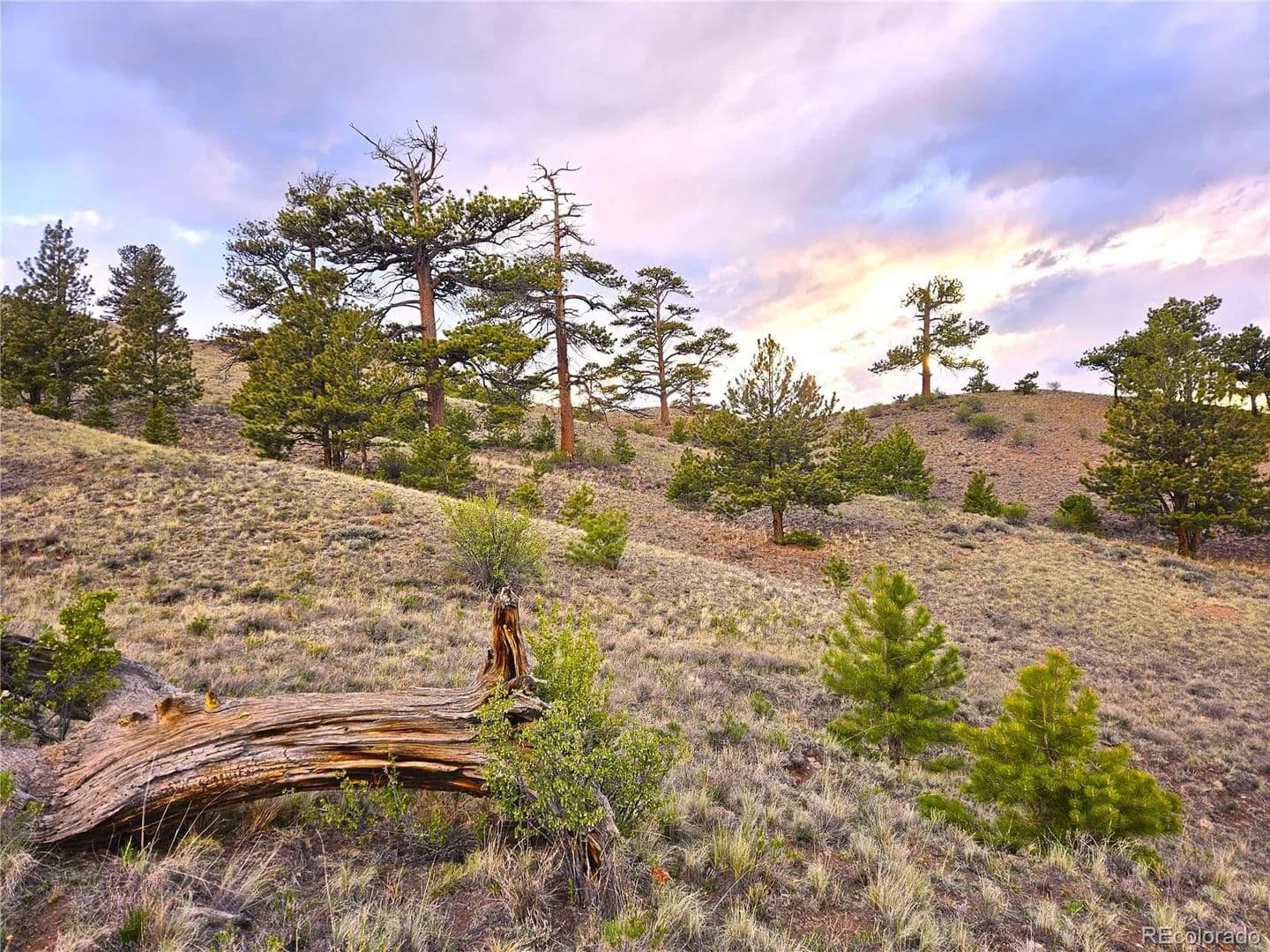 12.83 Acres of Land for Sale in Hartsel, Colorado - Hartsel, Colorado, 80449