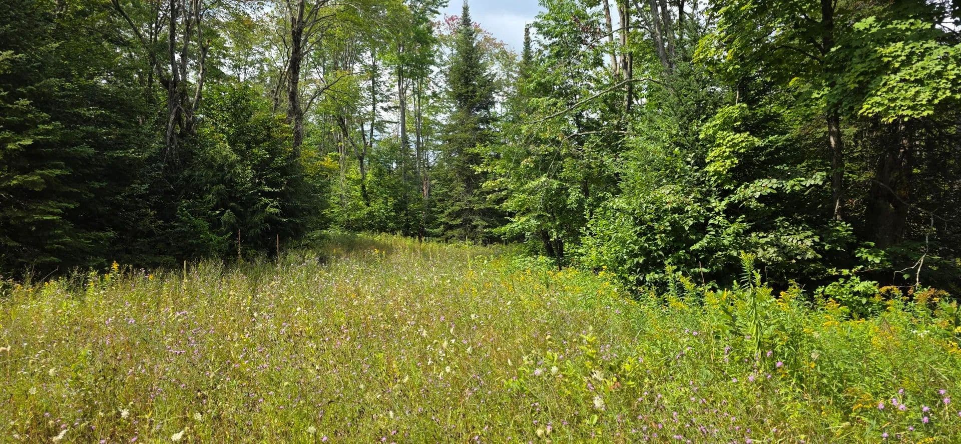 Vacant Land in Rudyard - Rudyard, Michigan, 49780