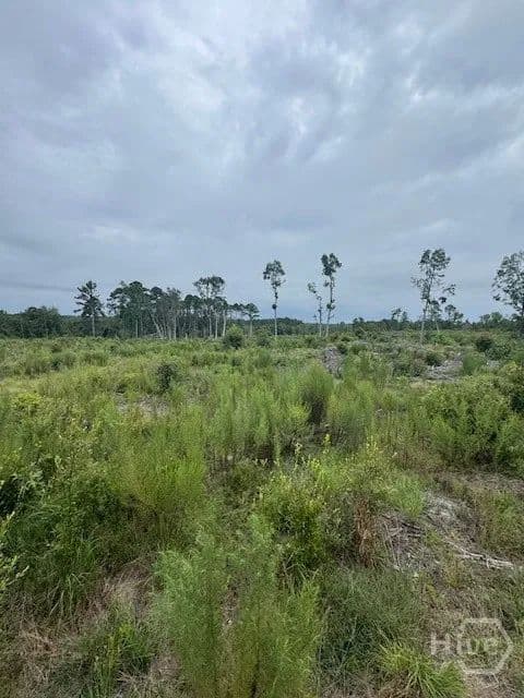 Property from 0 Kennedy Bridge Road - KW