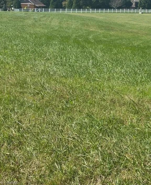 Vacant Land (0-10 Acres) in North Wilkesboro - North Wilkesboro, North Carolina, 28659