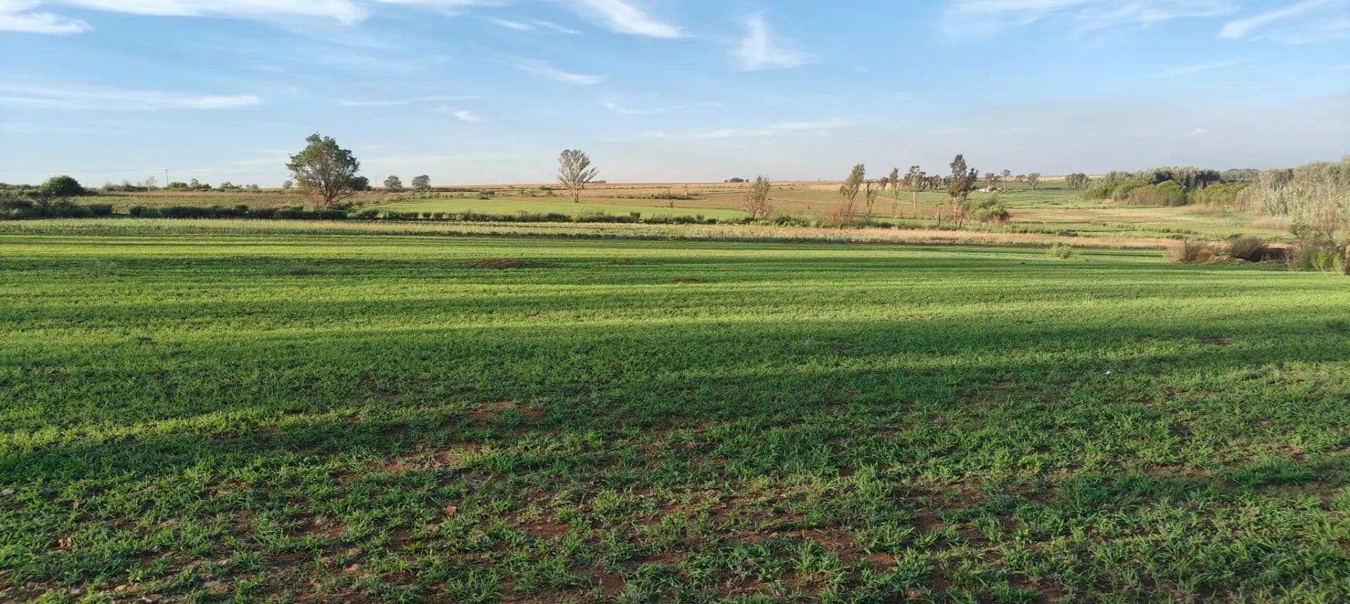 Land for Sale in Ventersdorp, North West - land for sale