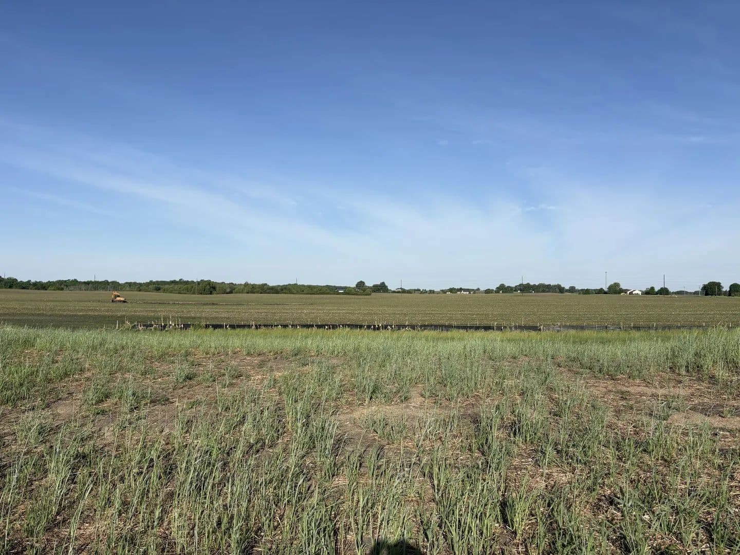 Property from 460 Ramey Road - KW - Maple Lake, Minnesota, 55358