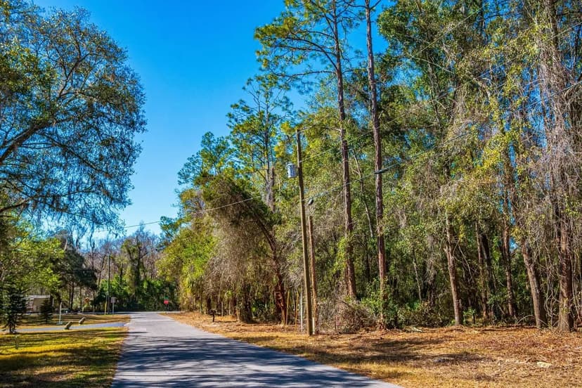 Bushnell 1.22 AC Vacant Lot