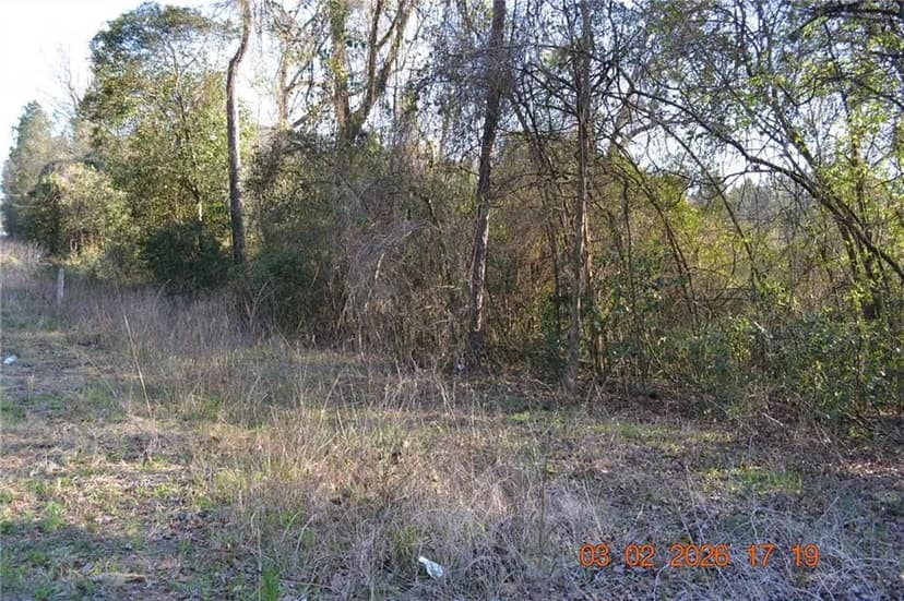 Vacant Land in Phenix City