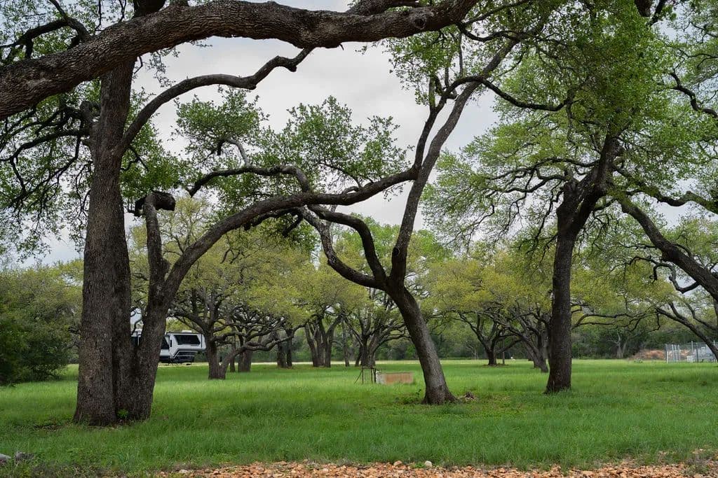 21 Acres of Land for Sale in New Braunfels, TX - New Braunfels, Texas, 78132