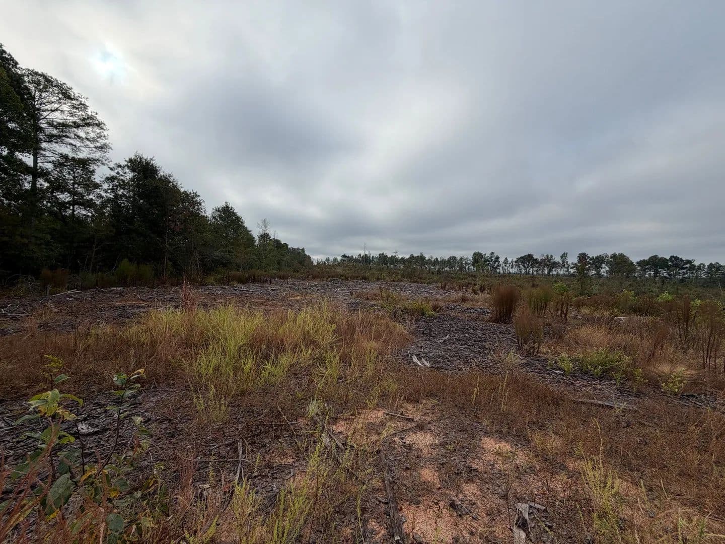 26 +/- Acres , in Wadley community of Tallapoosa County, AL - Wadley, Alabama, 36276
