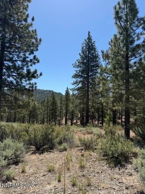 1.35 Acres of Land for Sale in Carson City, Nevada - Carson City, Nevada, 89705