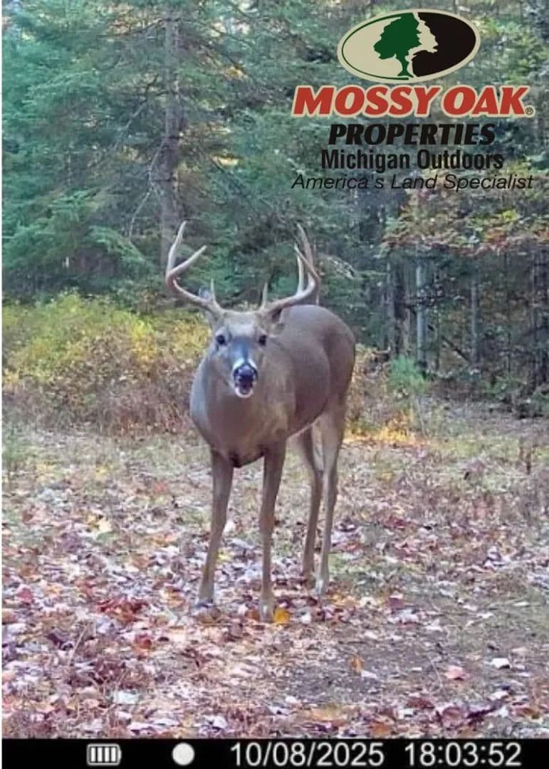 2705 National City Rd 11.89 Acres