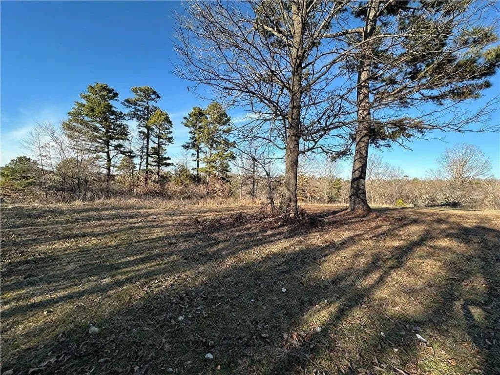 Lots & Land-Other in Hindsville - Hindsville, Arkansas, 72738