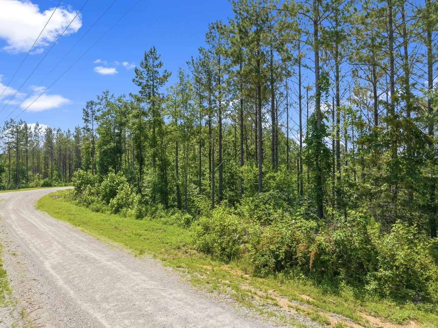 Property from 310 Highland Dr - KW - Linden, Tennessee, 37096