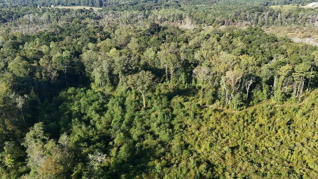 26 Acres of Land for Sale in Ariton, AL - Ariton, Alabama, 36311