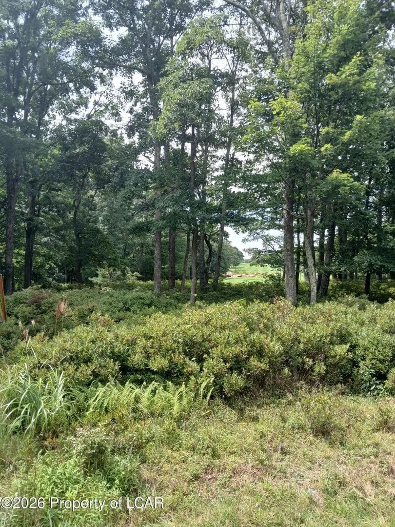 Lots & Land-Other in Hazle Twp - Pennsylvania, 18202