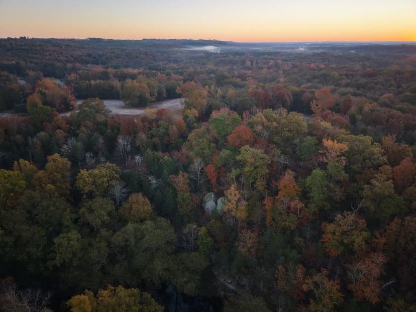 50 Acres in Van Buren County, AR