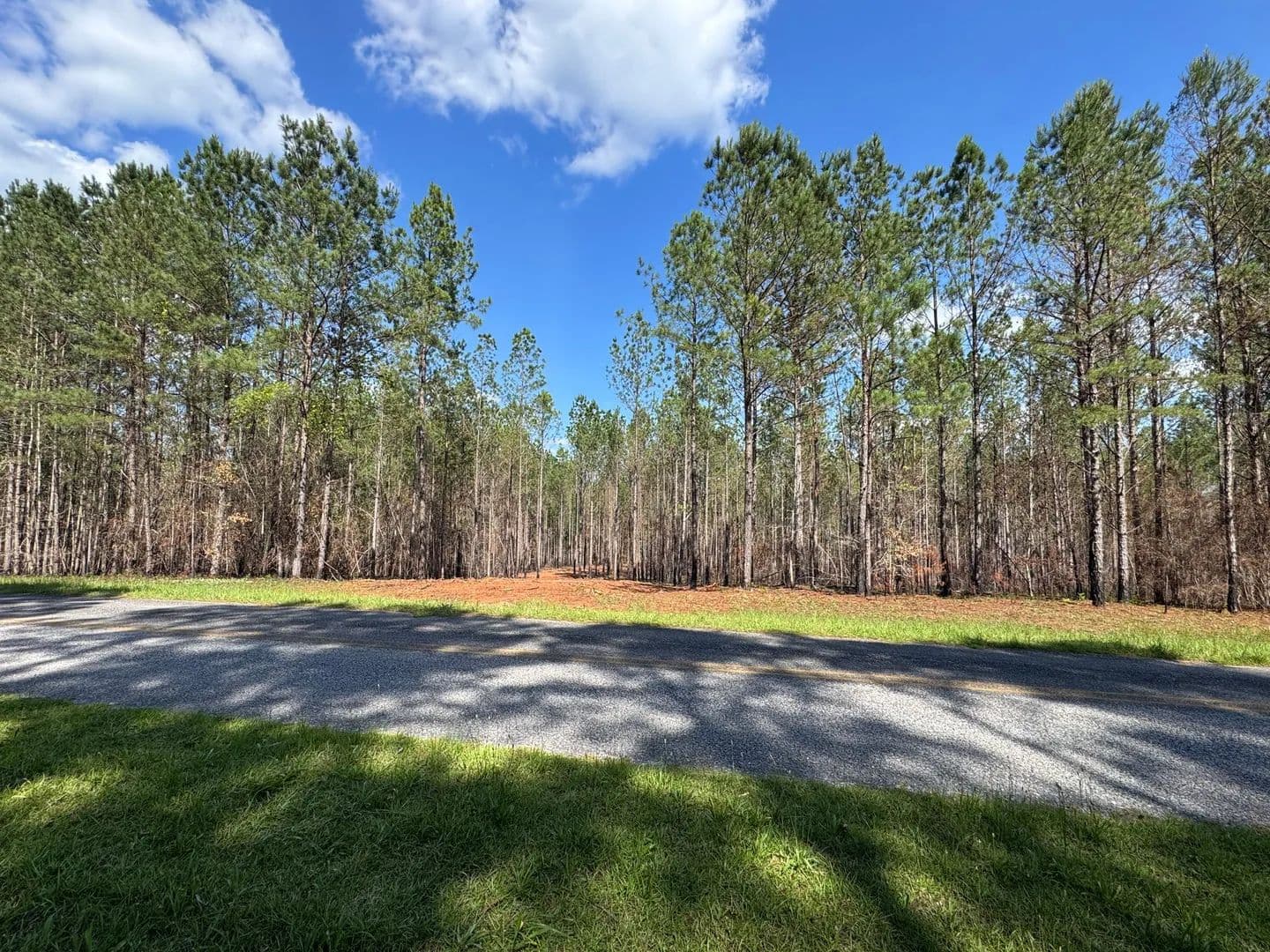 58.47+/- Acres Close to Lake Martin, Barrons Bridge Road, Tallapoosa County - Dadeville, Alabama, 36853