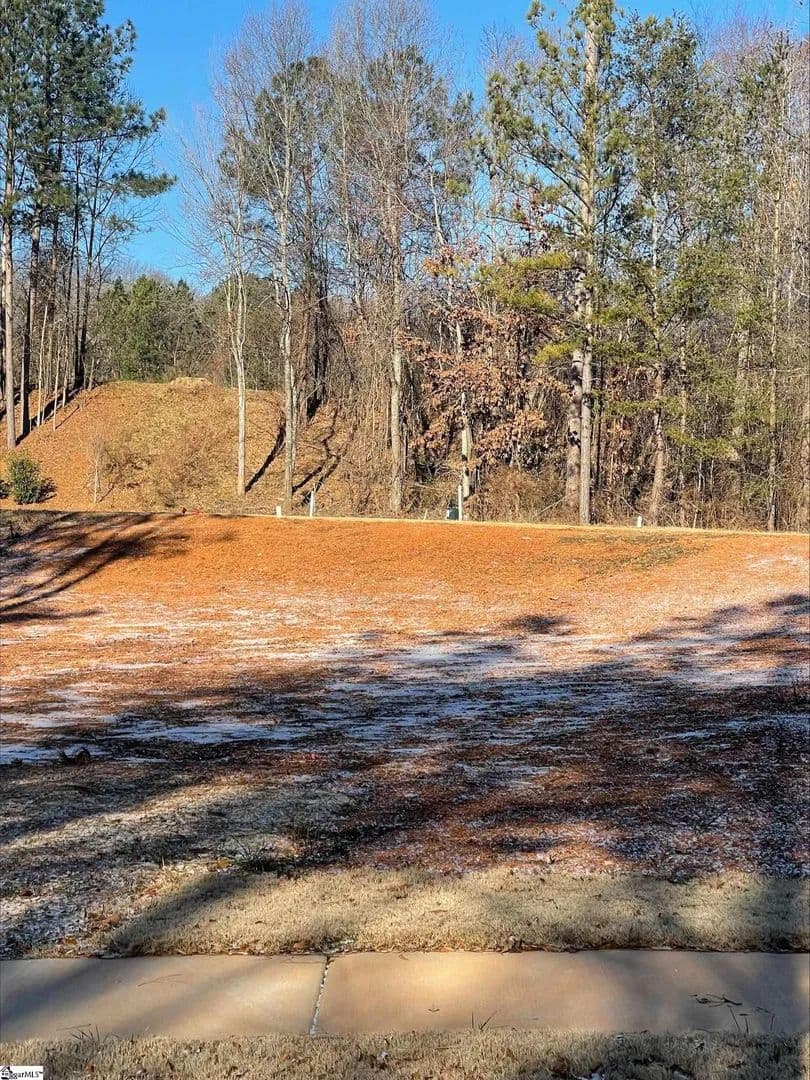 Vacant Land in Greenville