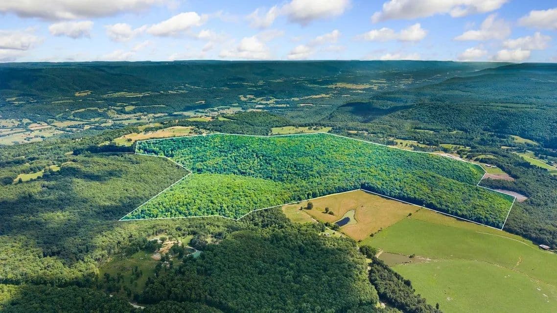 Land -Agricultural (Not Zoned) in Pikeville - Pikeville, Tennessee, 37367