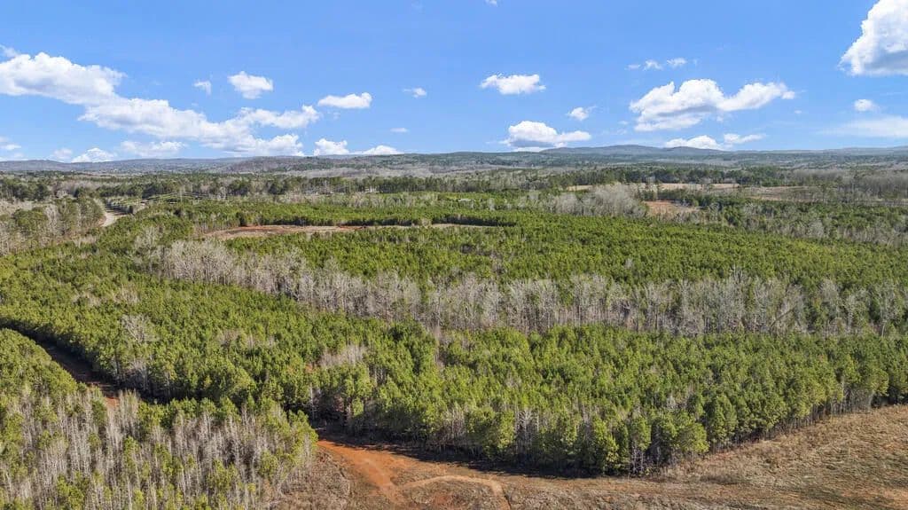 Vacant Land in Hamilton - Hamilton, Georgia, 31811