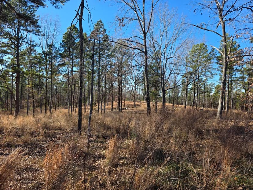 25 Acres in Izard County, AR 