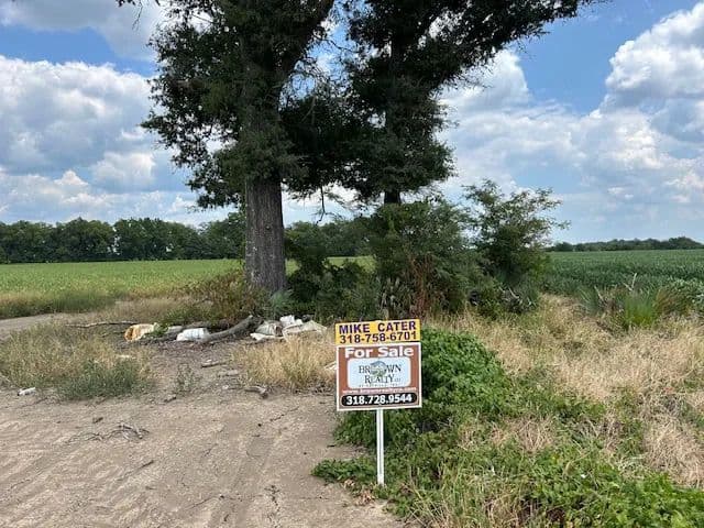 LA - Franklin 79.47 acres +/- - Louisiana, 71336