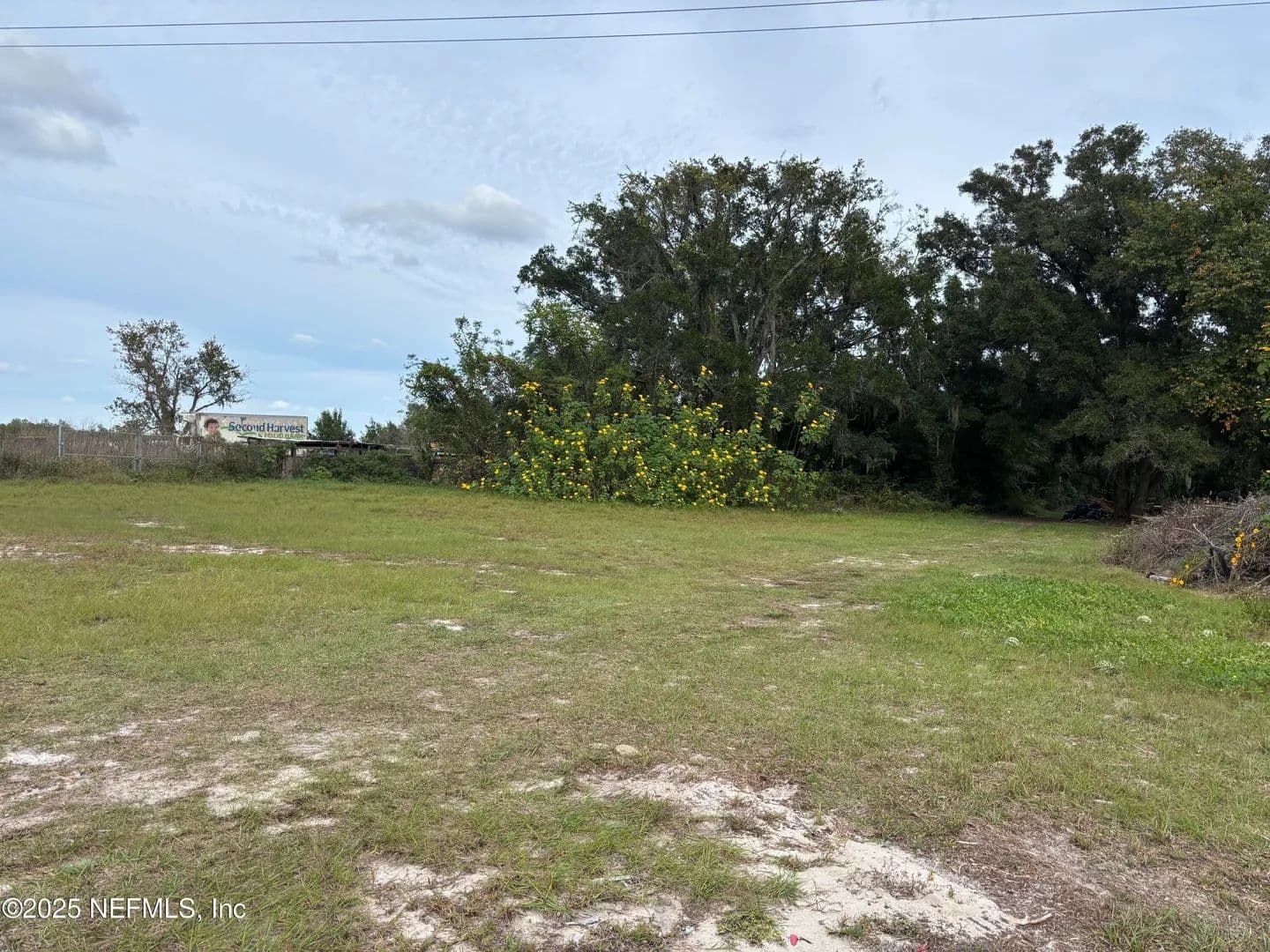Vacant Land in Apopka - Apopka, Florida, 32712