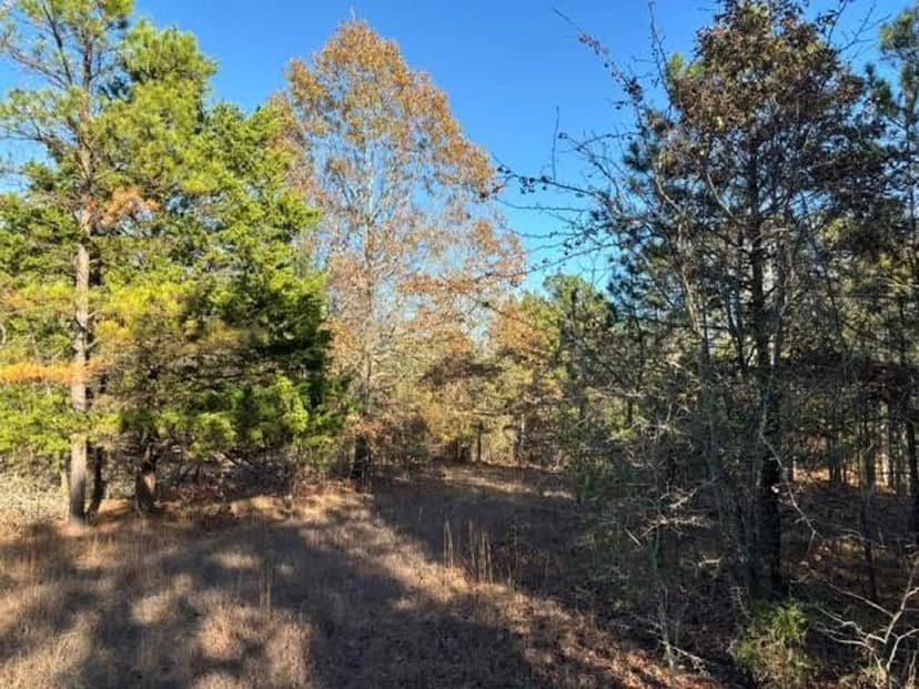 20± Acre Southeast Oklahoma Recreational Property