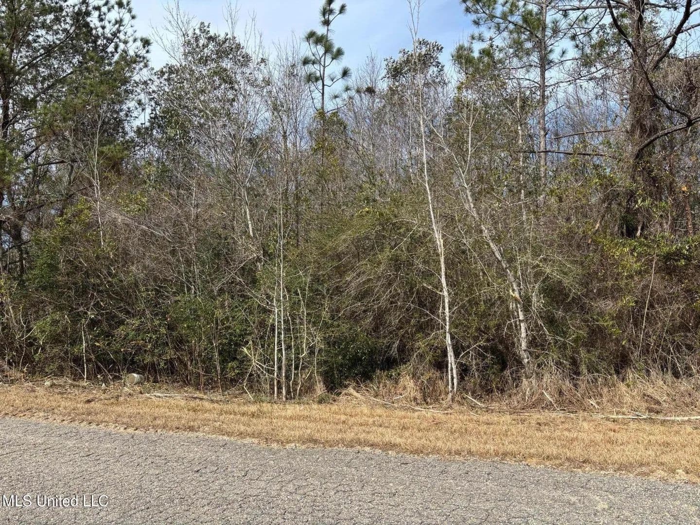 Vacant Land in Saucier - Saucier, Mississippi, 39574