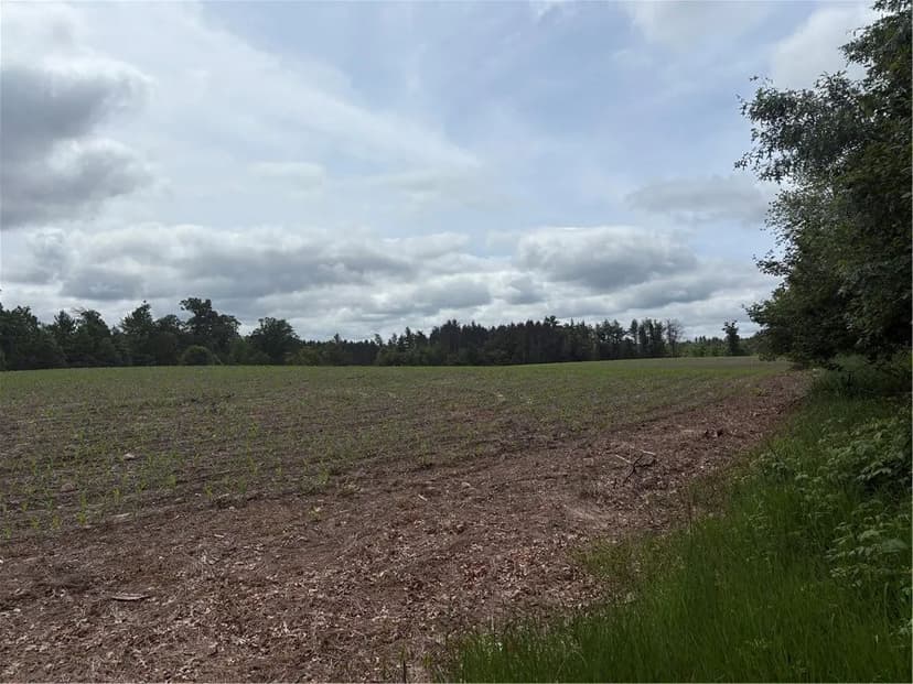 Vacant Land in Humbird