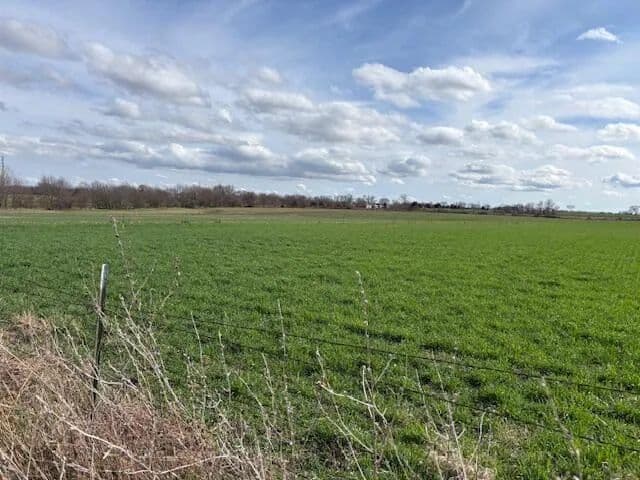 Vacant Land in Marionville - Marionville, Missouri, 65705