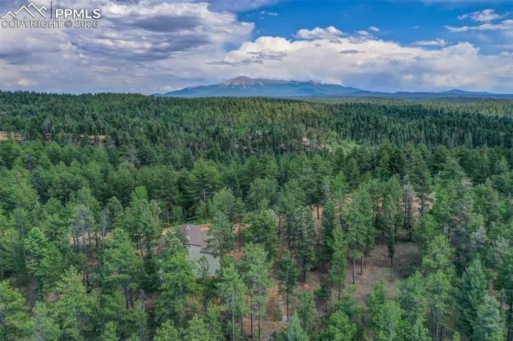 Lots & Land-Other in Florissant - Florissant, Colorado, 80816