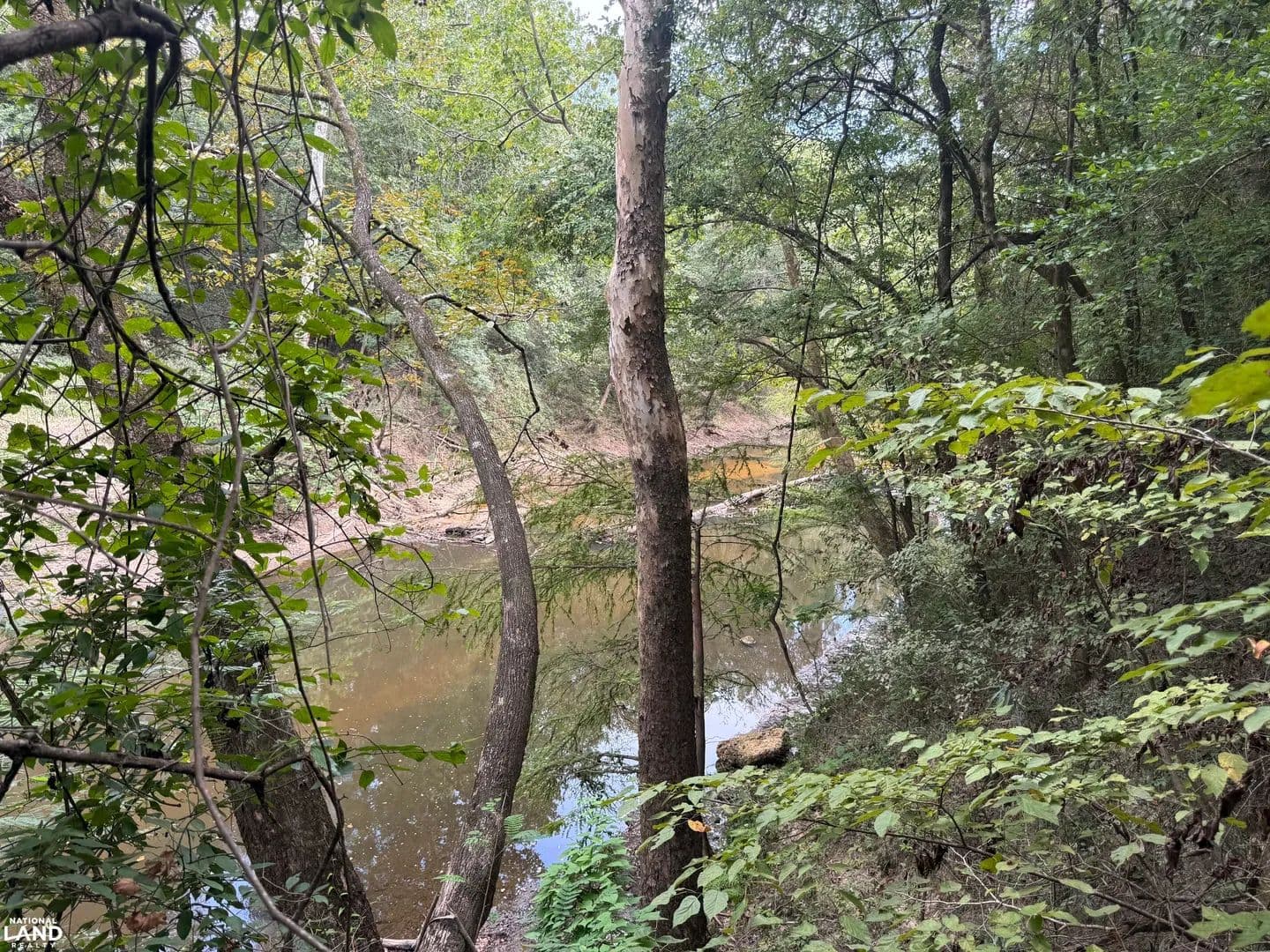 Brooklyn Sepulga River Acreage - Evergreen, Alabama, 36401