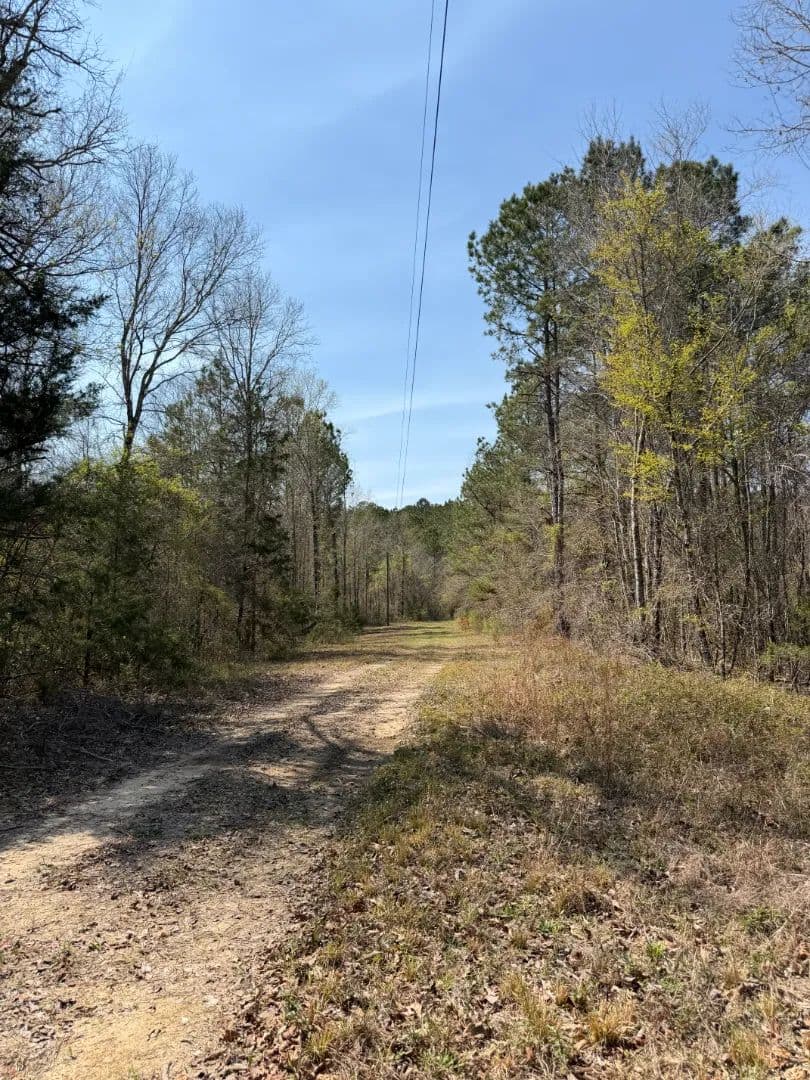 18.69 Acres in Lauderdale County, MS