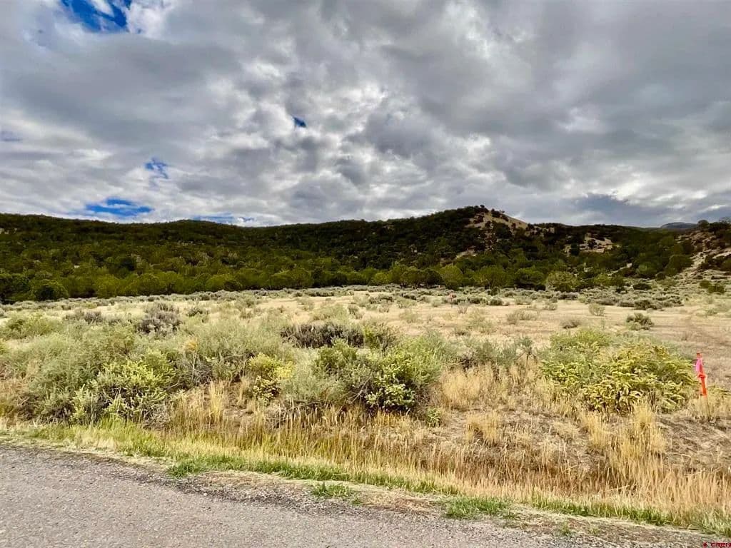 Vacant Land in Montrose - Montrose, Colorado, 81403