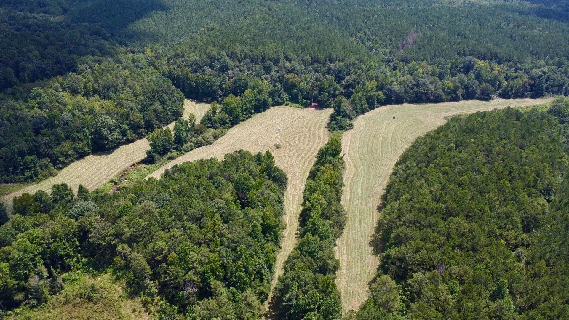 Sportsman's Paradise| Timber, Creeks, & Pasture | 110 +/- Ac in Clay County - Wadley, Alabama, 36276