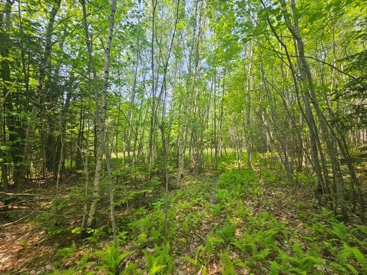 Hudson, 2016 Hudson Road -100 acres - Hudson, Maine, 04449