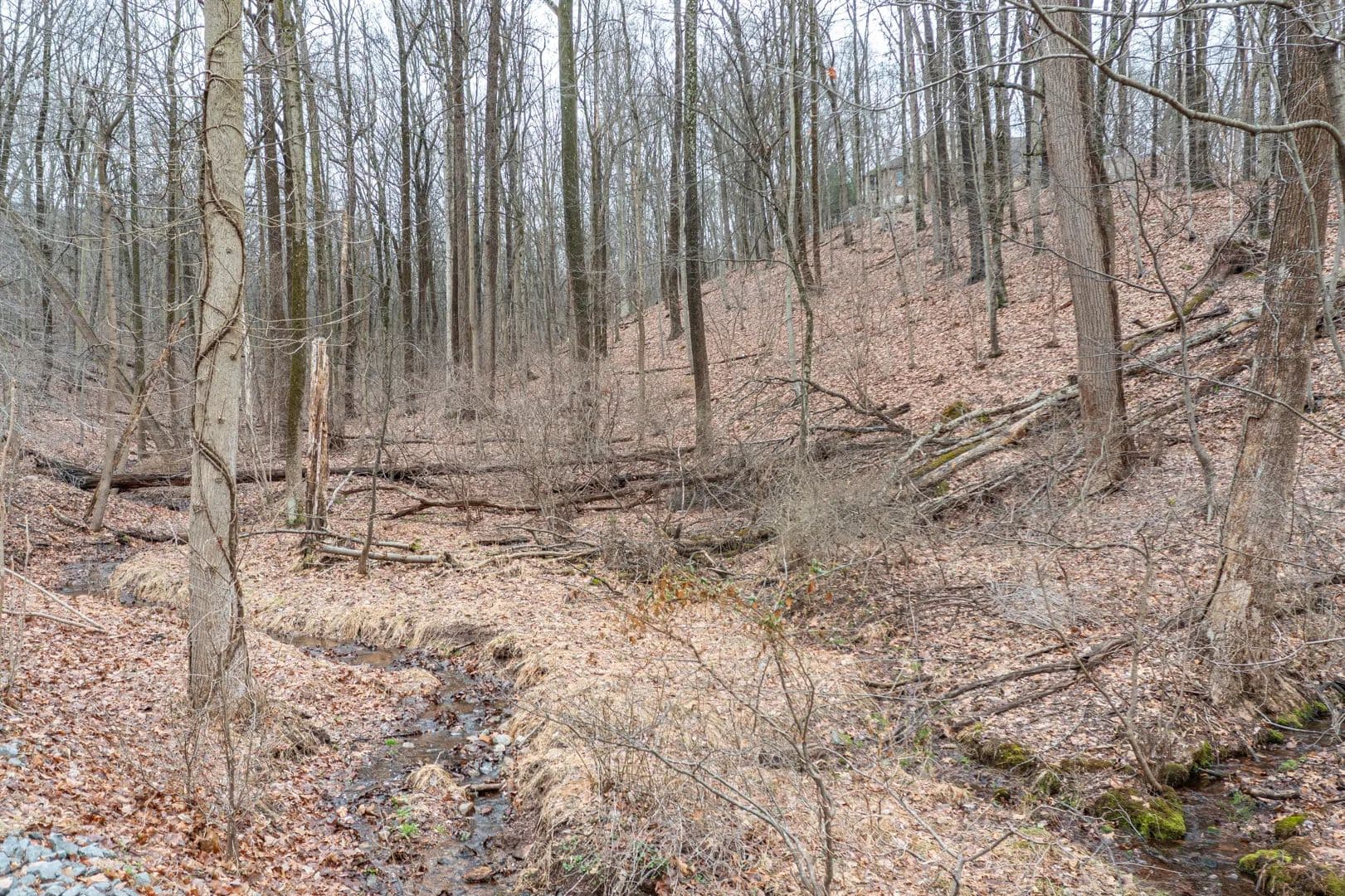 Land -Single Family Acreage in Reading - Reading, Pennsylvania, 19607