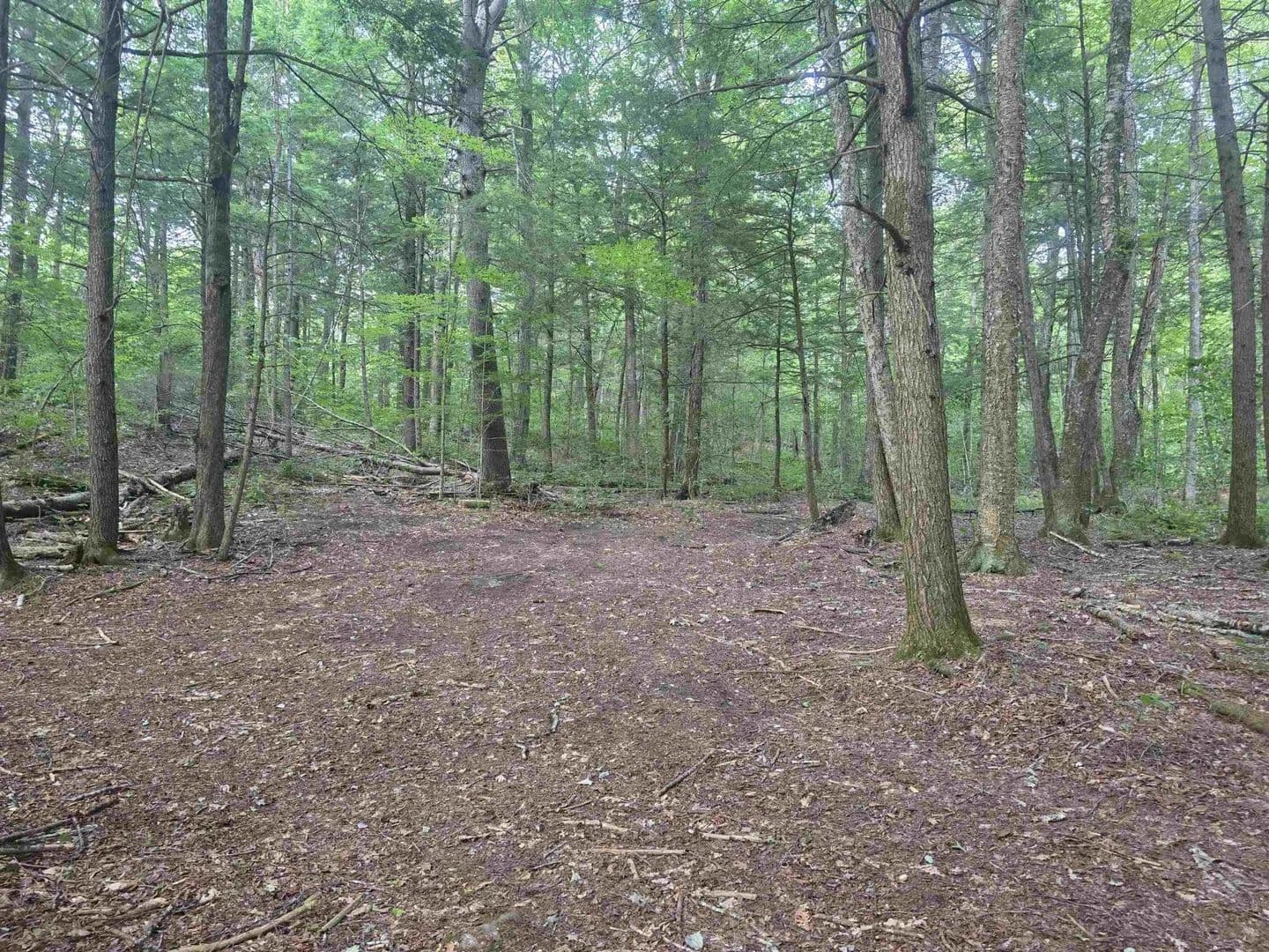 Vacant Land in Townshend - Townshend, Vermont, 05359