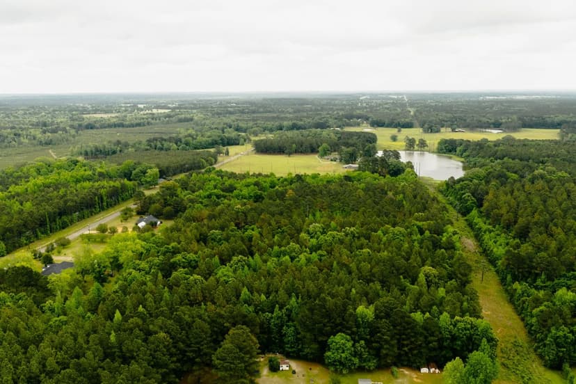 20.5 Acres in Winston County, MS