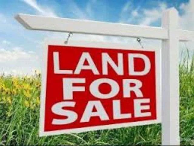 Property from 705 Gallant Fox - KW - Odessa, Texas, 79763