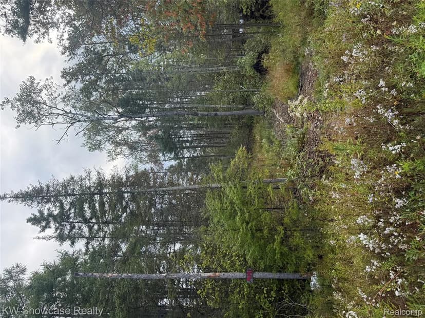 Property from 9191 M 33 - KW