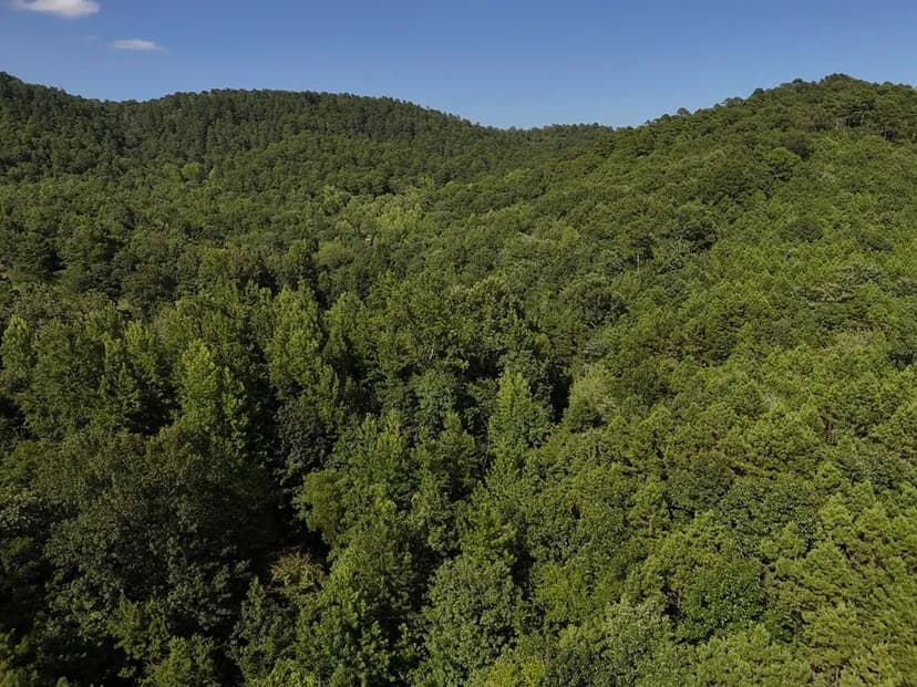 Land -Single Family Acreage in Mena