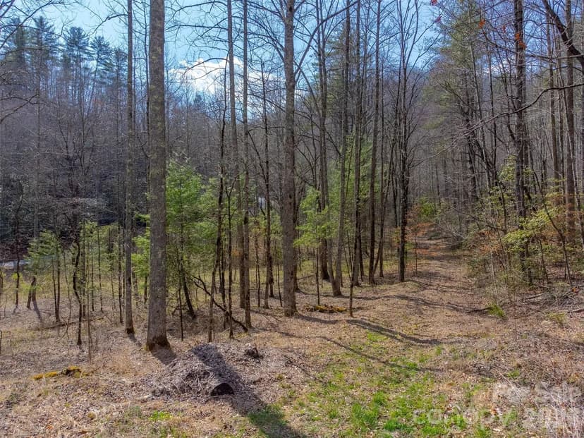 Property from 47.52 ac Little Snowbird Road - KW