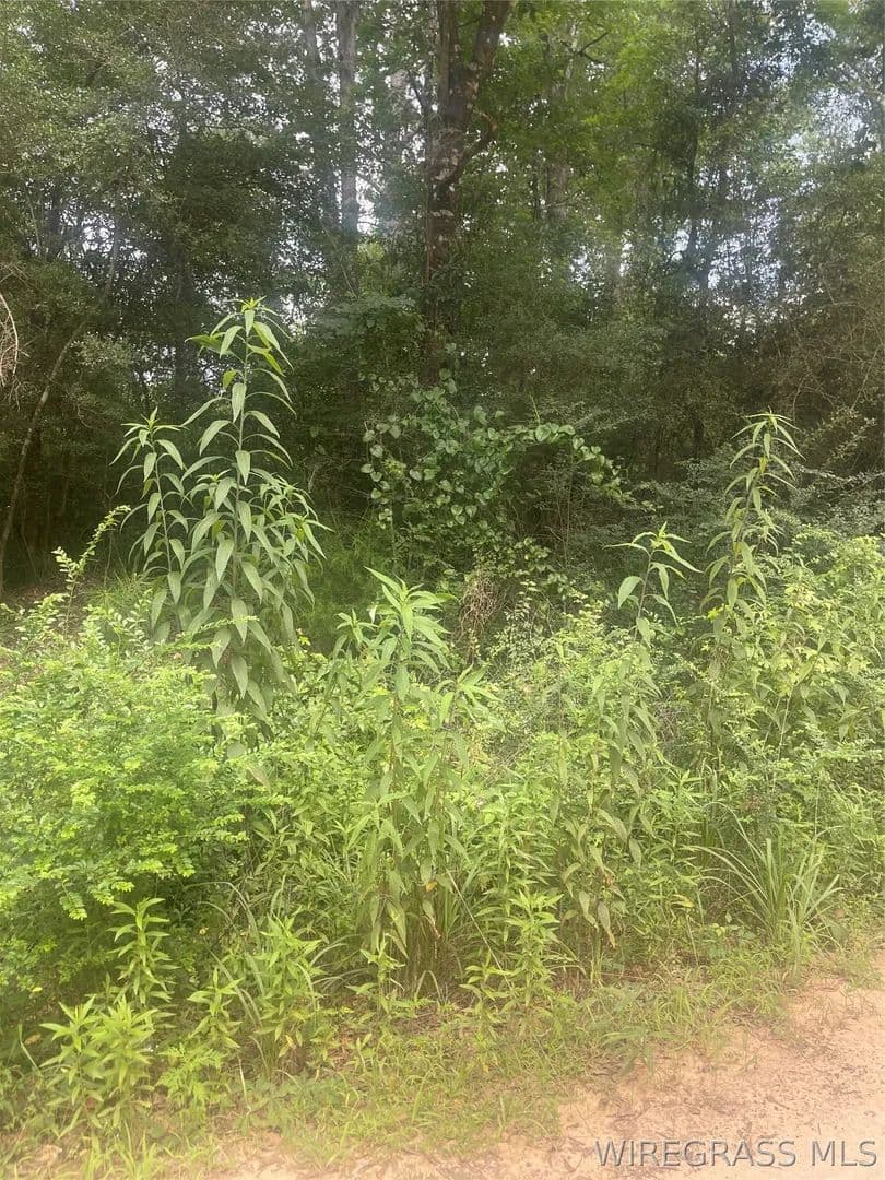 Vacant Land in Daleville - land for sale