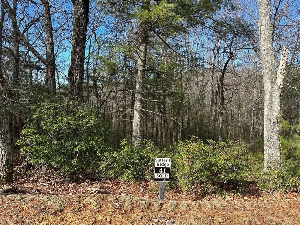 Vacant Land in Mcgrady - Mcgrady, North Carolina, 28649