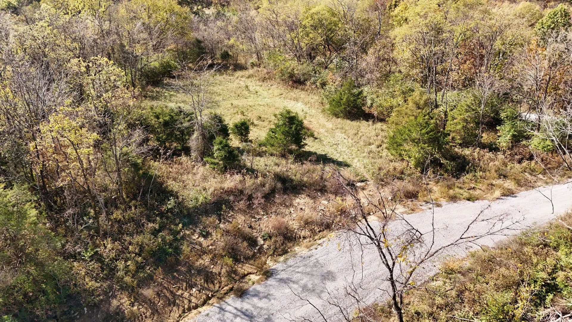 175.35 Acres of Land for Sale in Carlisle, KY - Carlisle, Kentucky, 40311