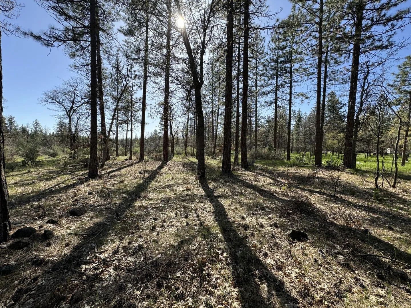 Lots & Land-Other in McArthur - Mcarthur, California, 96056