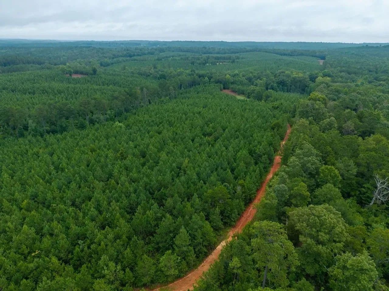 Mountain Creek 3- 102 acres In Chilton County, AL - Clanton, Alabama, 36000