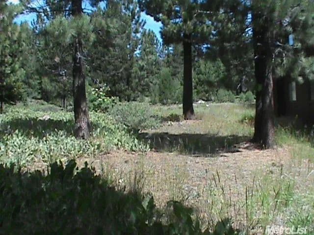 0.47 Acres of Land for Sale in Truckee, California - Truckee, California, 96161