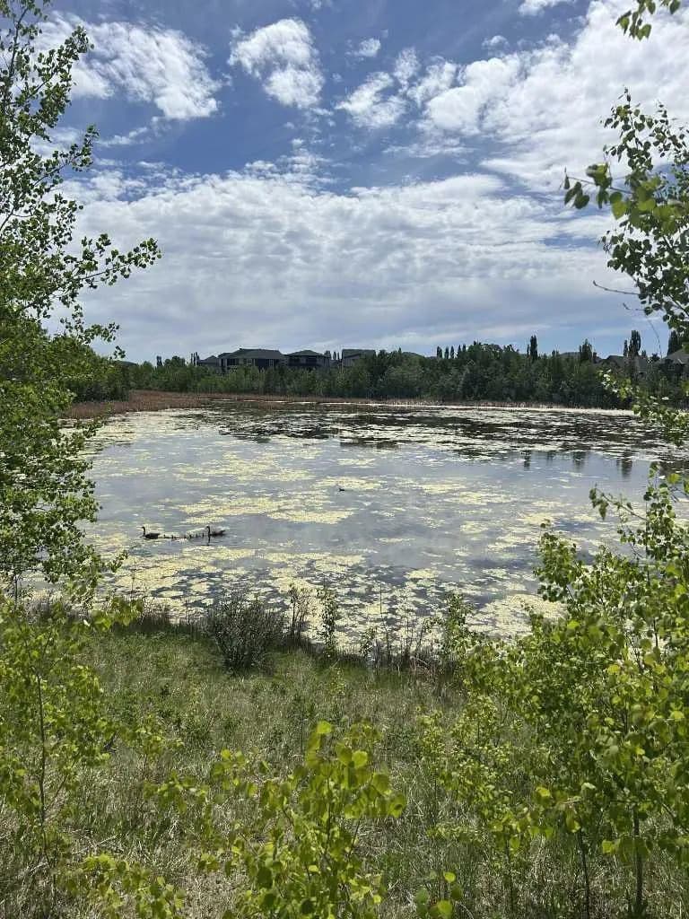 0.16 Acres of Land for Sale in Calgary, 284 Rock Lake Drive NW - land for sale