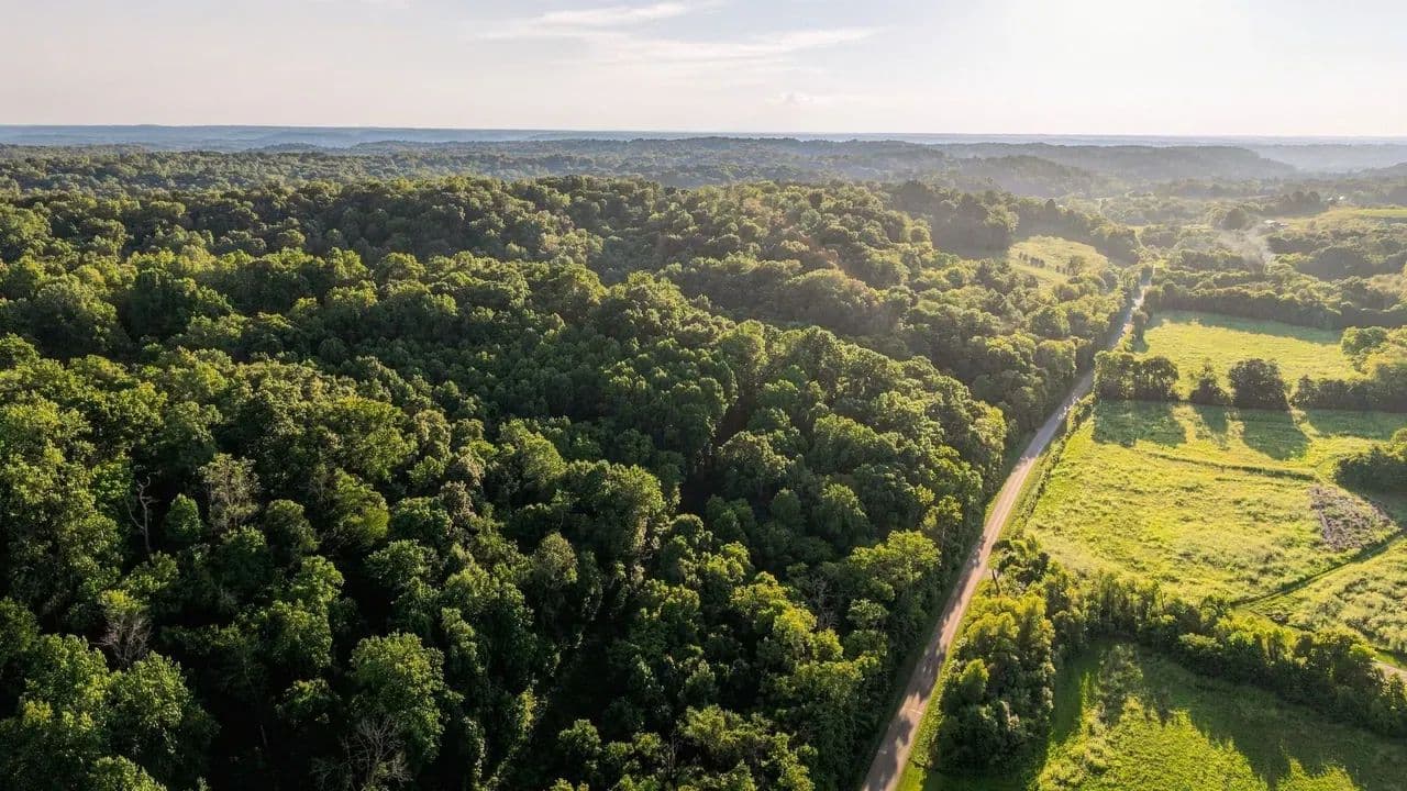 Dry Prong Creek Farms | 15.01 Acres in Williamsport, TN - Williamsport, Tennessee, 38487